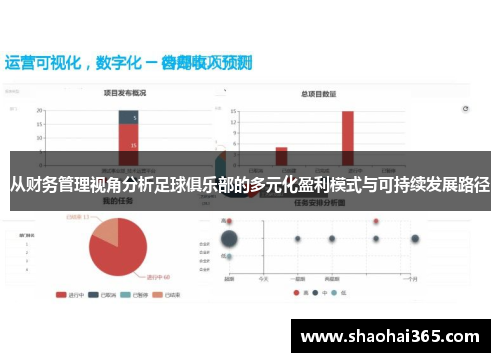 从财务管理视角分析足球俱乐部的多元化盈利模式与可持续发展路径