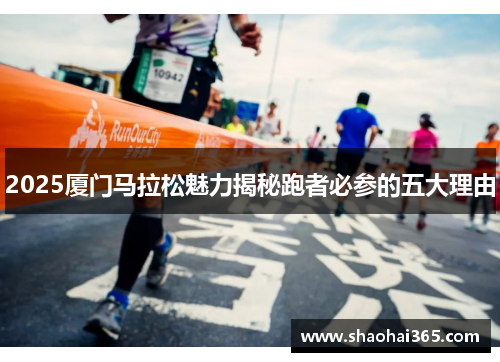 2025厦门马拉松魅力揭秘跑者必参的五大理由