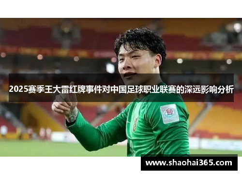 2025赛季王大雷红牌事件对中国足球职业联赛的深远影响分析