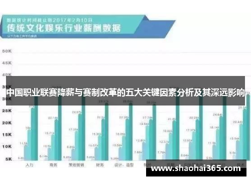 中国职业联赛降薪与赛制改革的五大关键因素分析及其深远影响