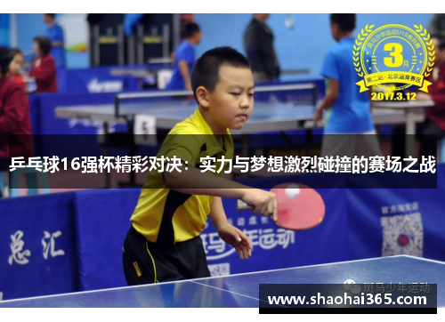 乒乓球16强杯精彩对决：实力与梦想激烈碰撞的赛场之战