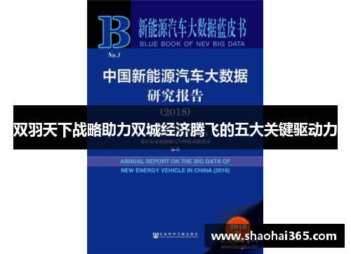 双羽天下战略助力双城经济腾飞的五大关键驱动力
