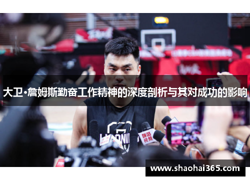 大卫·詹姆斯勤奋工作精神的深度剖析与其对成功的影响