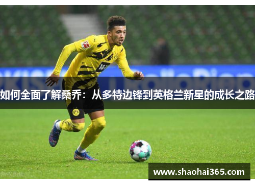 如何全面了解桑乔:从多特边锋到英格兰新星的成长之路 如何全面了解桑乔:从多特边锋到英格兰新星的成长之路