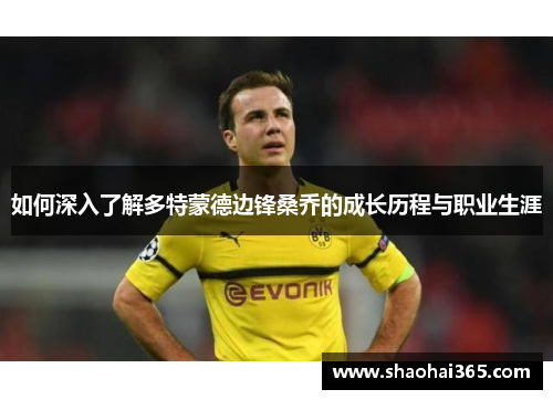 如何深入了解多特蒙德边锋桑乔的成长历程与职业生涯 如何深入了解多特蒙德边锋桑乔的成长历程与职业生涯