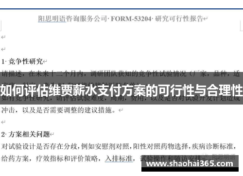 如何评估维贾薪水支付方案的可行性与合理性 如何评估维贾薪水支付方案的可行性与合理性