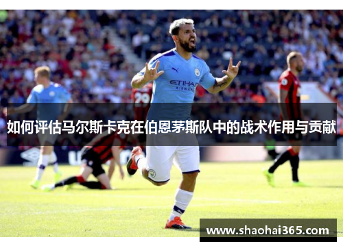 如何评估马尔斯卡克在伯恩茅斯队中的战术作用与贡献 如何评估马尔斯卡克在伯恩茅斯队中的战术作用与贡献